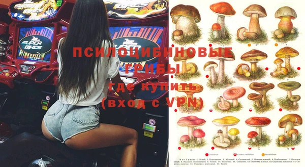 бошки Володарск