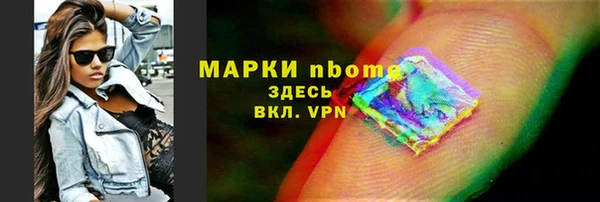 прущие грибы Верея
