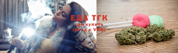прущие грибы Верея