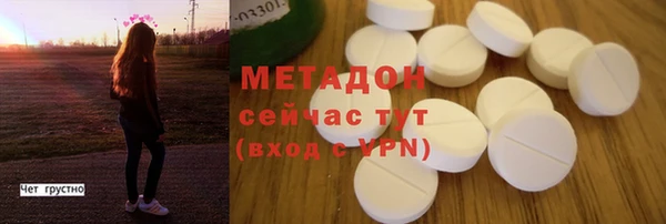 прущие грибы Верея