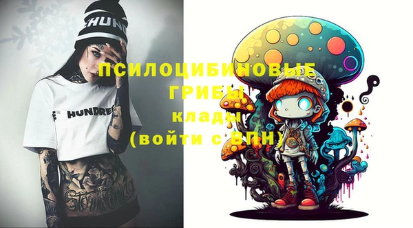 бошки Володарск