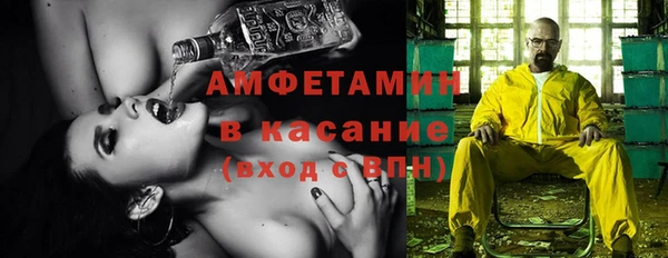 прущие грибы Верея