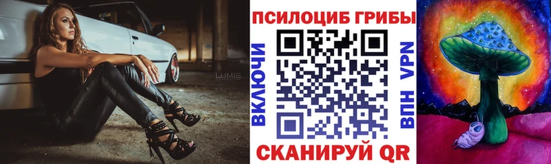 Псилоцибиновые грибы ЛСД  гидра ССЫЛКА  Лукоянов 